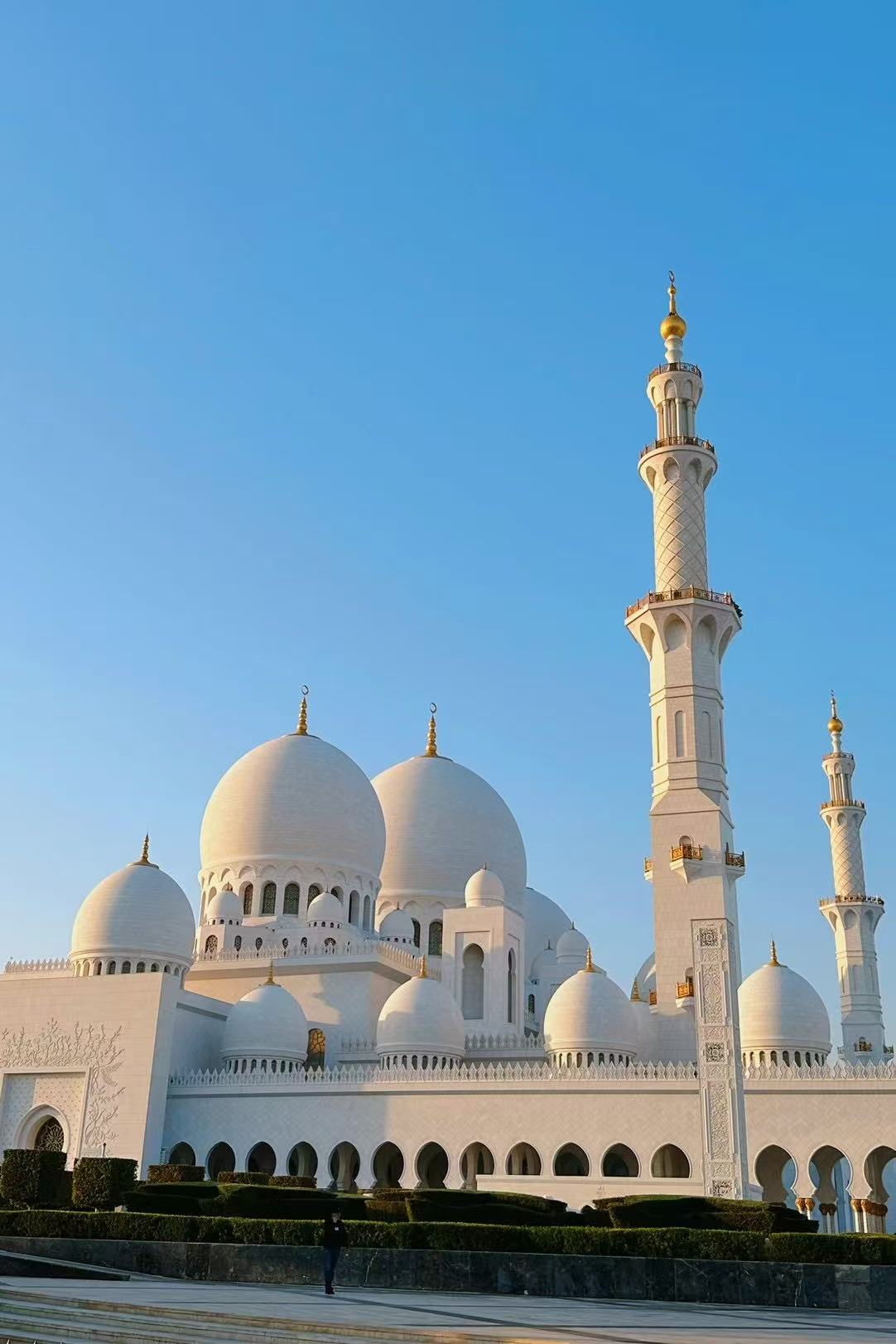 COLING 2025 Abu Dhabi, UAE